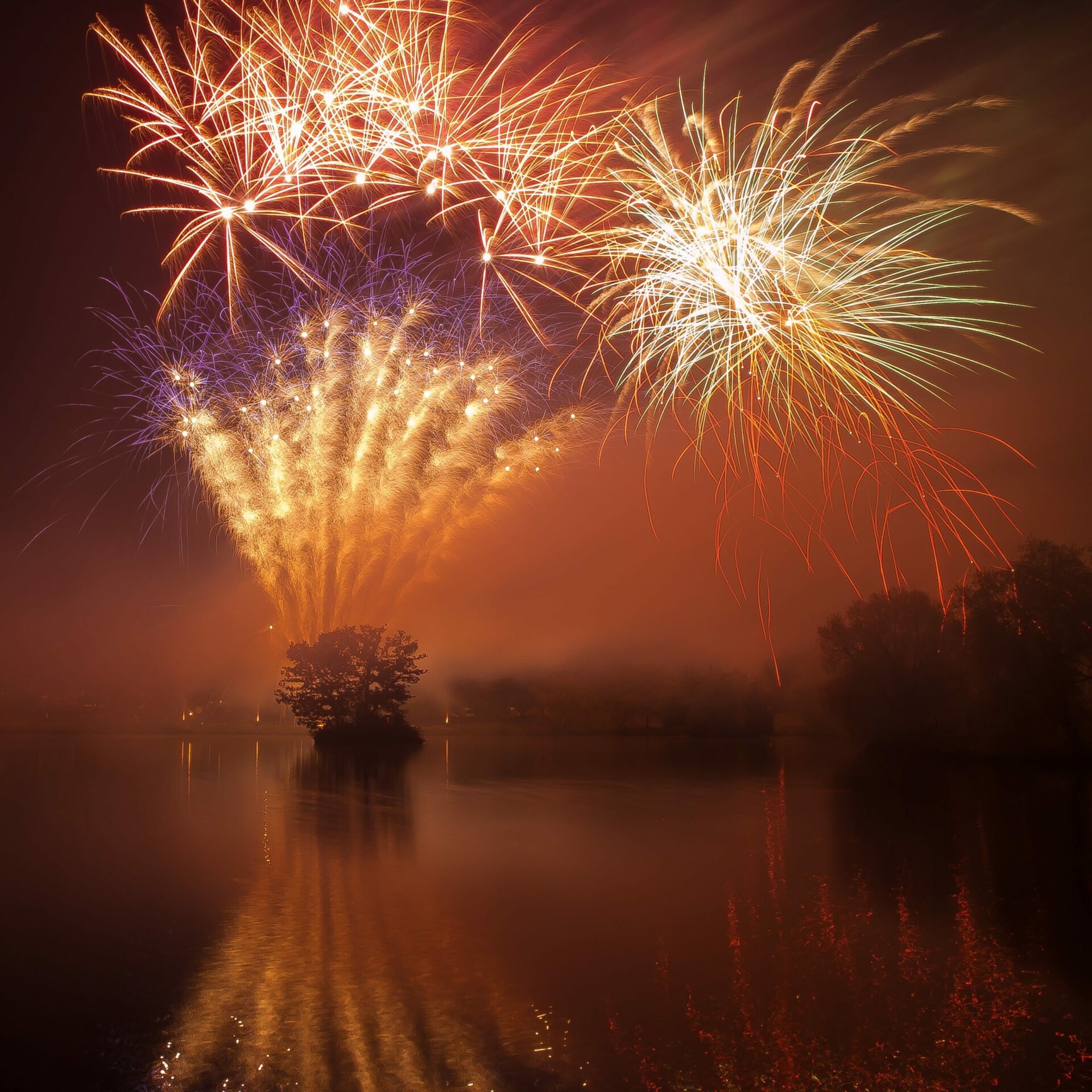 william-warby-Jmr-NoDKfjE-unsplash