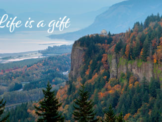 Life Is A Gift