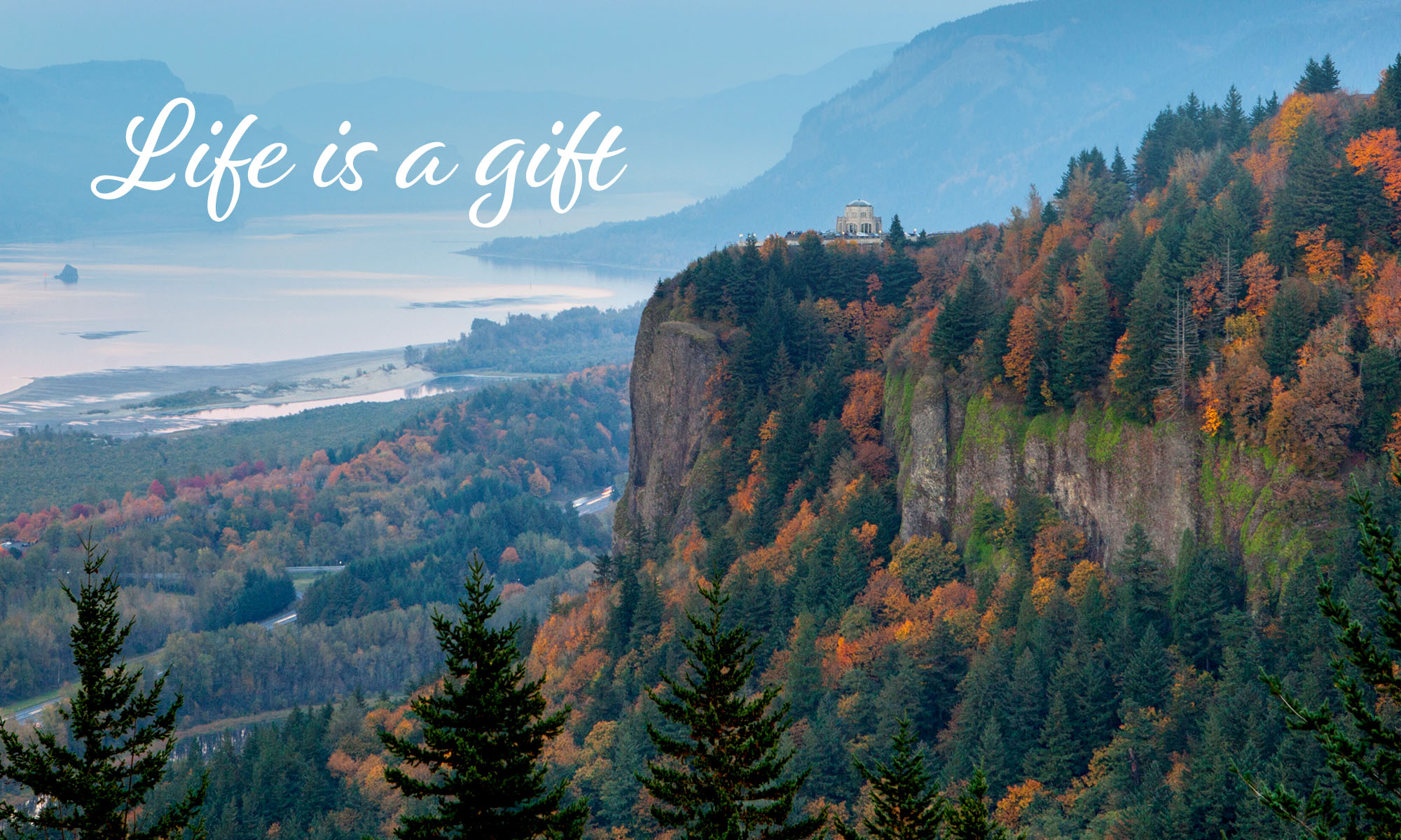 Life Is A Gift
