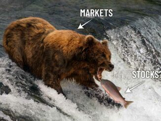 Bear Market