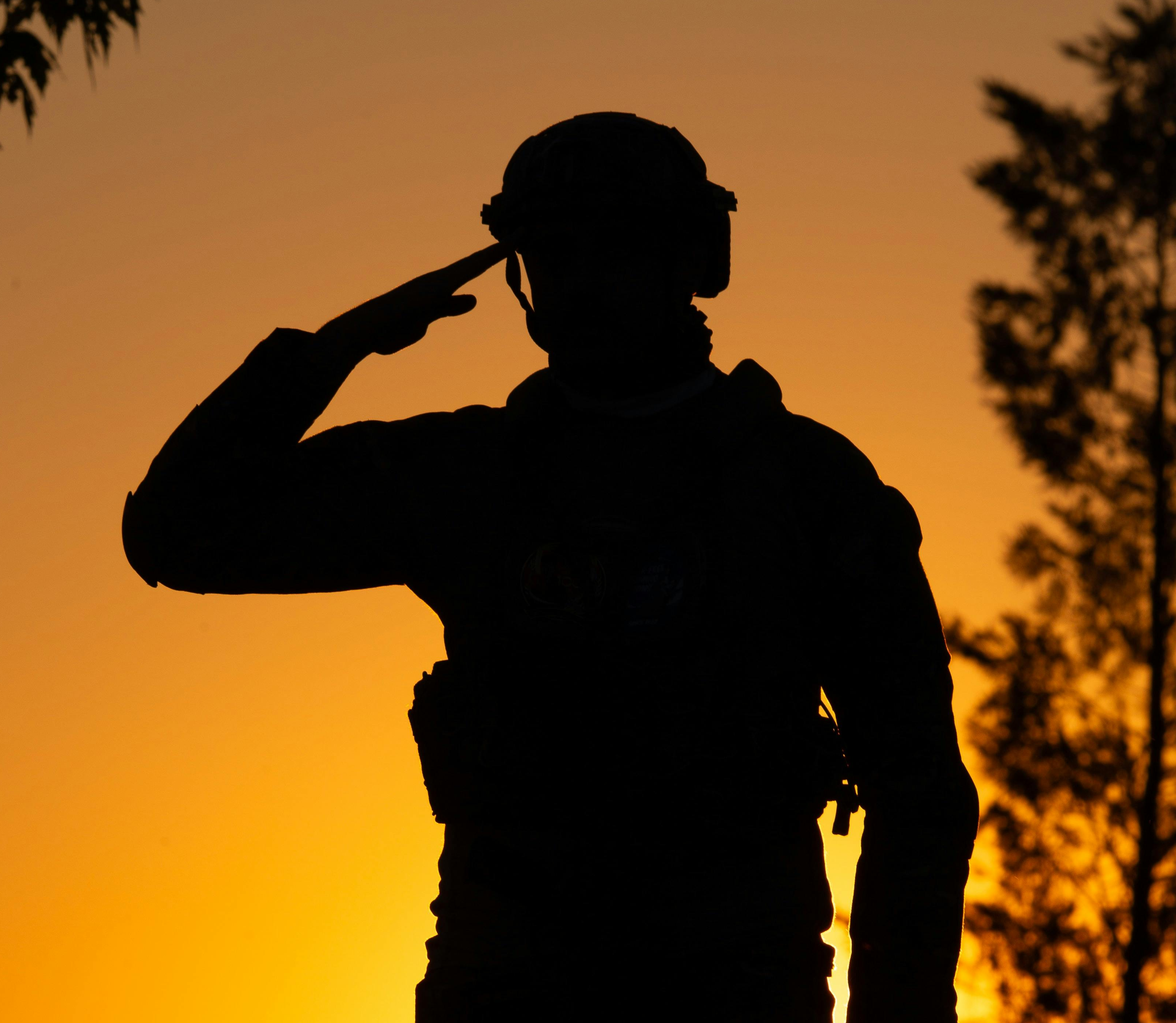 Honoring Our Heroes: A Heartfelt Thank You This Veterans Day