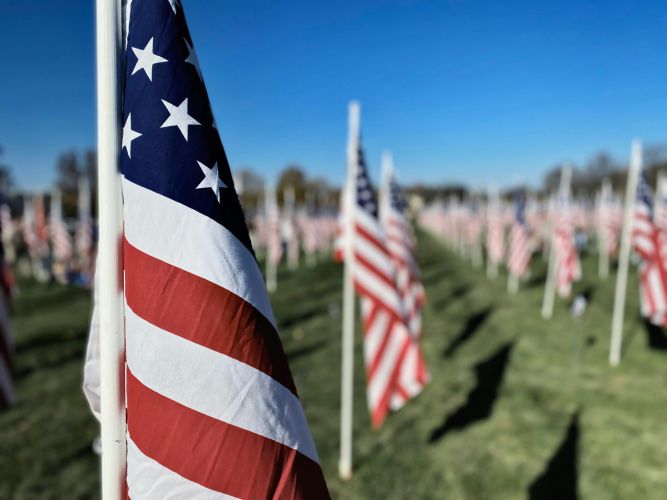 Image of flags